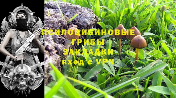 MDMA Premium VHQ Белокуриха