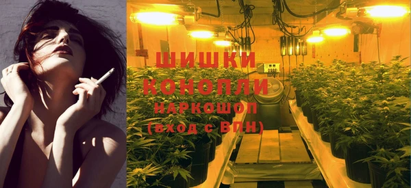 spice Осинники