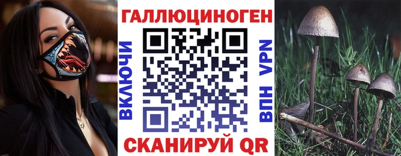 Галлюциногенные грибы мицелий  darknet как зайти  Плёс 